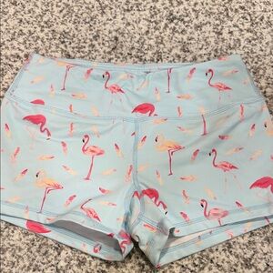 Savage Barbell Flamingo Feather Shorts - Light Blue